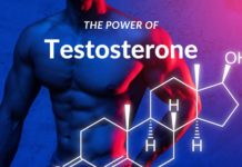 the power of testosterone