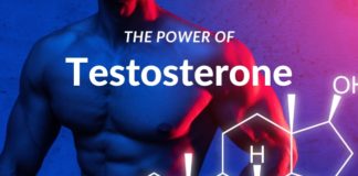 the power of testosterone