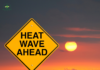 Heatstroke vs. Heat Exhaustion_ What's the Differences and How to Prevent Them