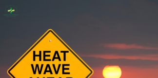 Heatstroke vs. Heat Exhaustion_ What's the Differences and How to Prevent Them