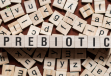 What Are the Best Sources for Prebiotics